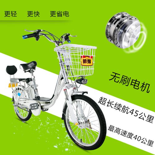 帅狼 电动自行车20寸48v锂电池电动助力车电单男女成人电.