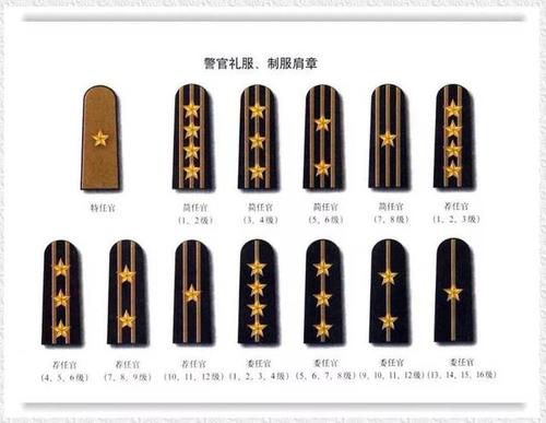 并符合简任警察官任命条件者,可任用为各省警务处处长,院辖市警察局