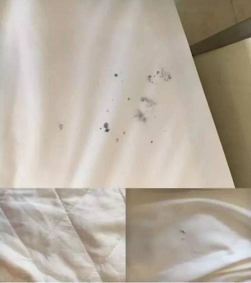 被子和枕头有黄色印迹 这是窗户框 枕头和床单有大块污渍和毛发 看看