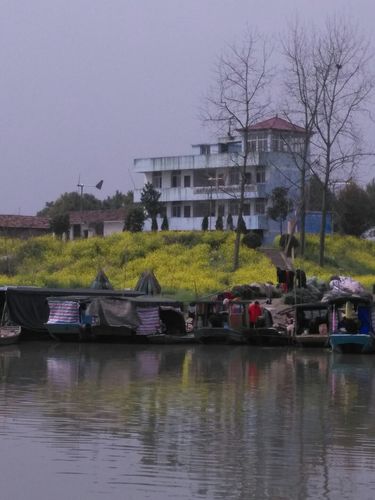 湖南省益阳市沅江市巴山路靠近中国工商银行(沅江桔城支行)天气预报