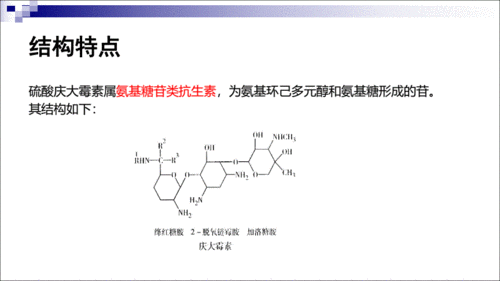 11硫酸庆大霉素.pdf 17页