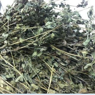 玉林市鑫鸿原生中草药种植有限公司