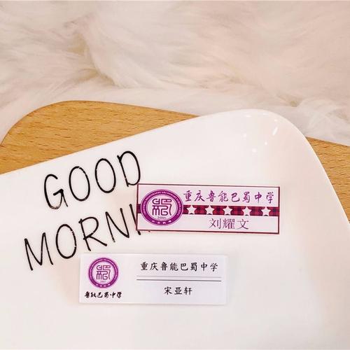 现货重庆鲁能巴蜀中学时代少年胸牌胸针