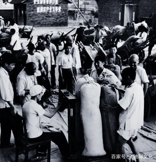 8张珍贵老照片,带你回顾当年真实农村交公粮场景,还是