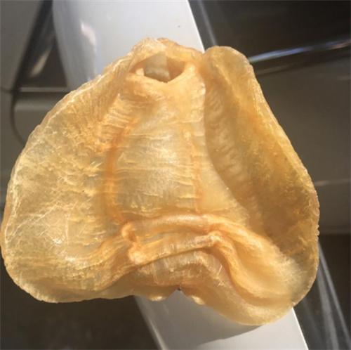 点击越秀农讲所赤嘴鱼胶回收期价格表一览