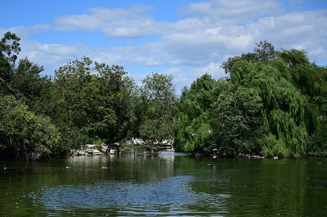 4575万像素不仅解析力高对焦也很快 尼康z7全画幅微单实拍样片