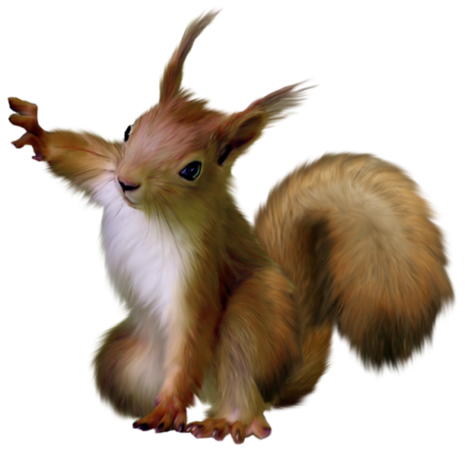 squirrel_png15797.png (600×581)