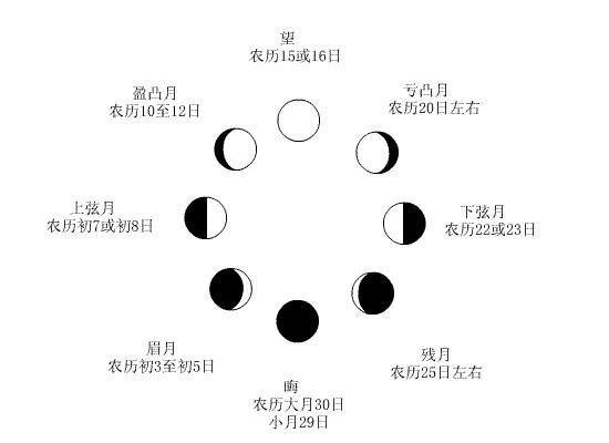月相按时间正确顺序后,排序理由是