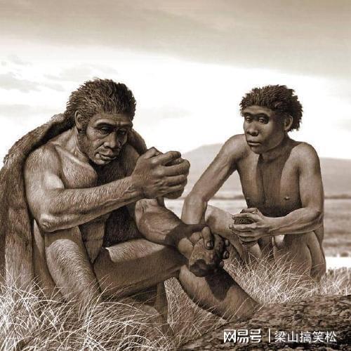 人类起源于外星人与猿人的混血儿