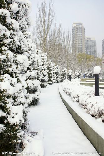 公园雪景图片