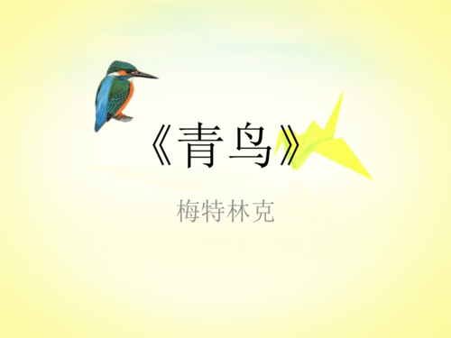 【精选】《青鸟》推荐《青鸟》推荐.ppt