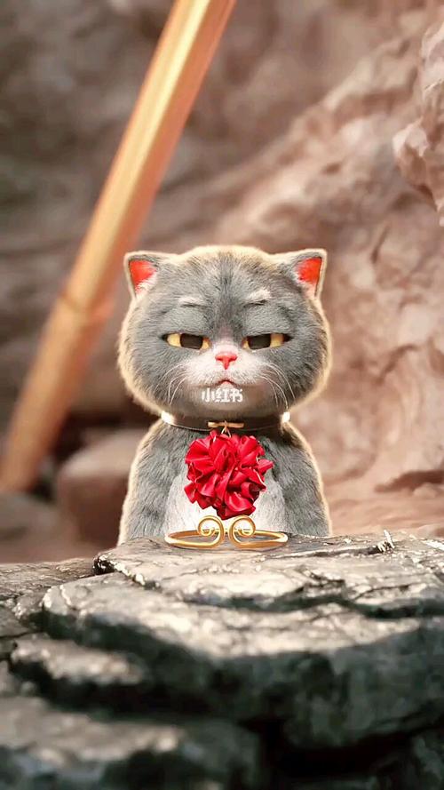 悟空斑布猫_斑布猫_宠物_猫