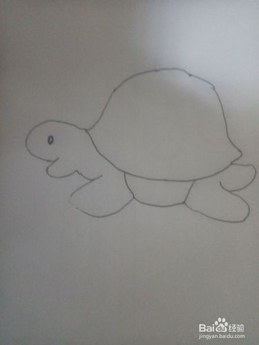 简笔画:大乌龟如何画