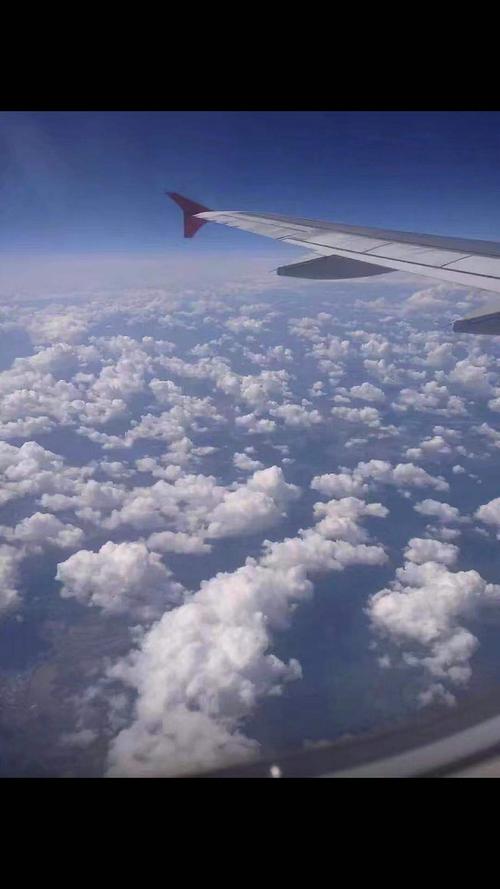 飞机飞上了蓝天,像一只快乐的小鸟在空中飞翔.