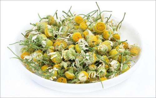 洋甘菊有什么功效和作用