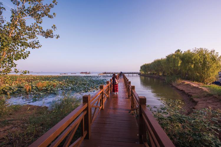 五河县沱湖的早晨