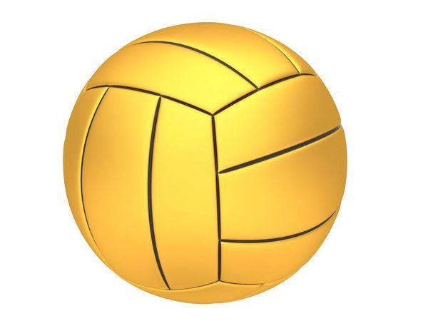 金色,排球