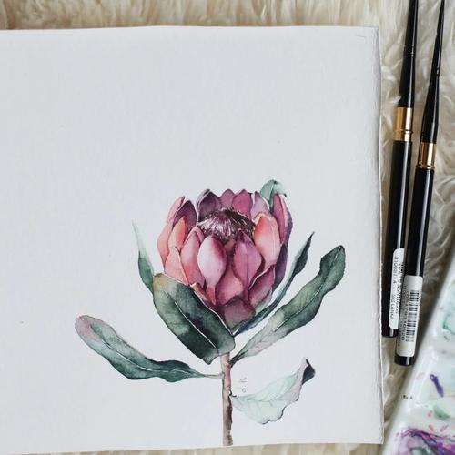 小清新水彩花卉临摹素材分享,真是让人着迷的色调