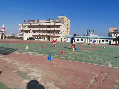 新星学校招生简章