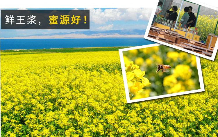 青海新鲜蜂王浆纯正天然农家自产鲜活蜂皇浆延缓衰老500g瓶装蜂乳