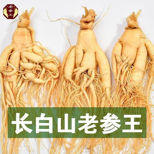 老参王野生新鲜人参长白山鲜人参保鲜参泡酒煲汤东北