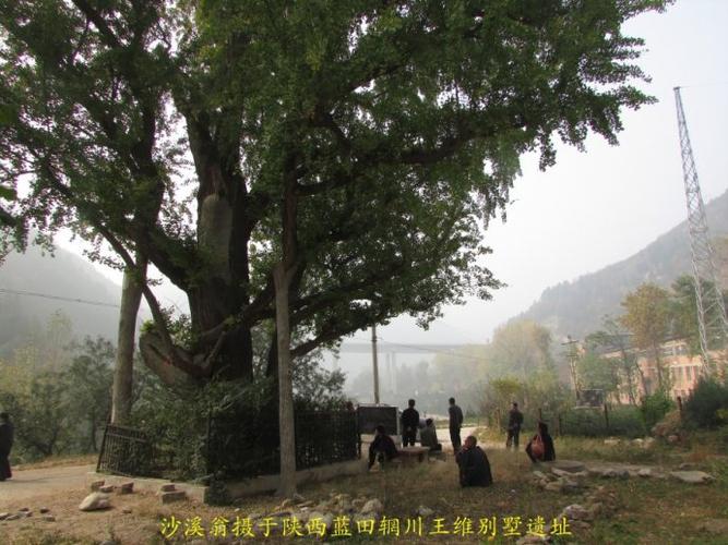 重阳节登高来到王维的辋川别墅
