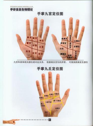 全息手穴图