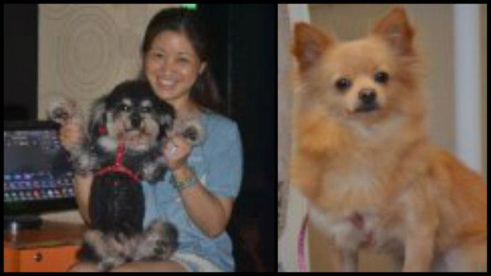 狗娃子也要讲和谐