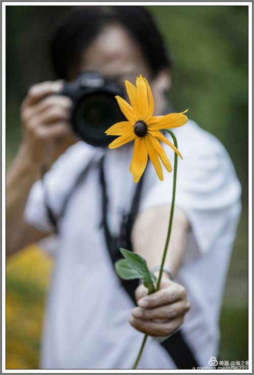 灿烂的太阳花,仿佛每天都是充满朝气,阳光自信.