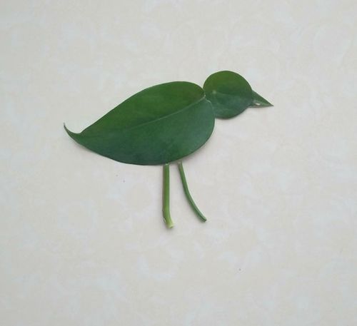 幼儿创意手工手工画制作大全 用树叶和豆子diy小鸟教程