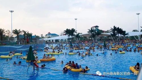 联系单位:沧州渤海新区招商合作一局编辑:刘杰