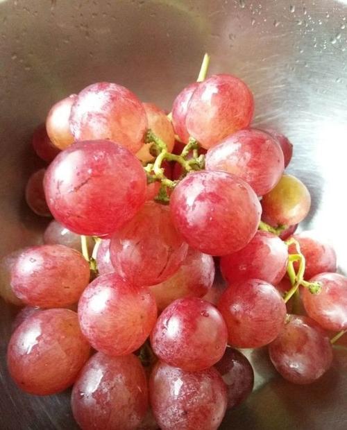 实拍:我们一家五口人午餐,一月花费500元生活费
