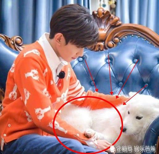 王源被主持人喊走火锅依依不舍做出这个举动粉丝直呼太暖心