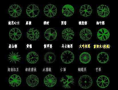 园林树木平面图乔木