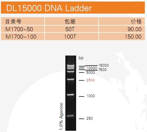 dl15000 dna ladder