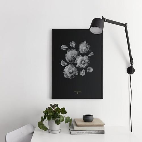 mzlab 北欧进口 烫金logo 芍药花朵 黑底极简装饰画 含画框