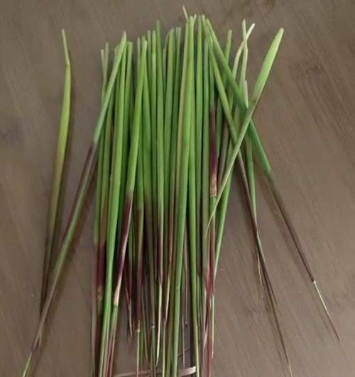 人间美味毛针草