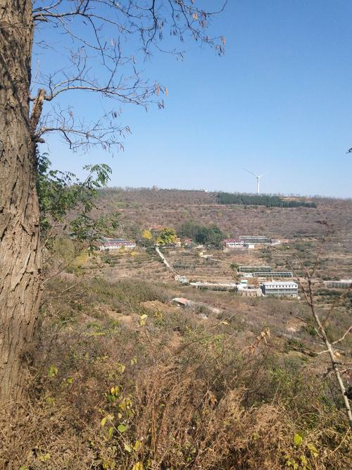 骑闯安丘辉渠天路