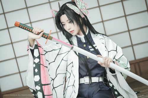 动漫,二次元,cos,蝴蝶香奈惠