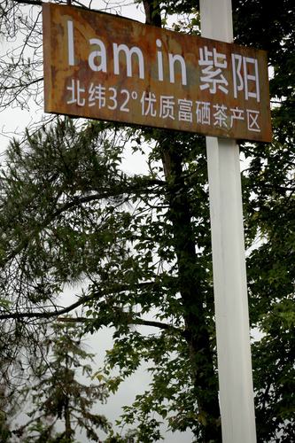 半亩茶园的一道彩虹,天上掉下个桑妹妹.
