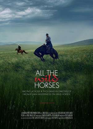 30分钟看过简介all the wild horses documents the mongol derby