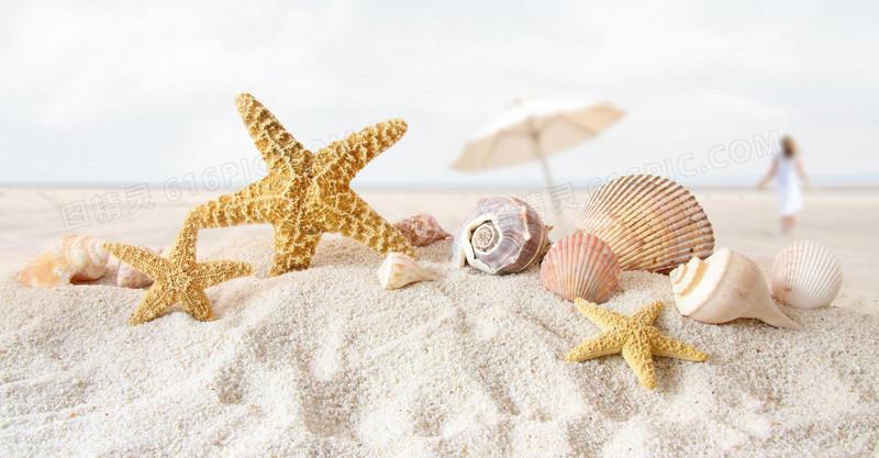 海边背景贝壳海星图片免费下载_png素材_编号vn2ioywq2_图精灵