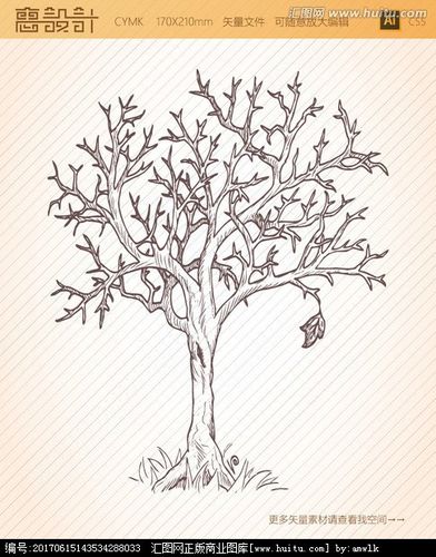 地下的树根简笔画