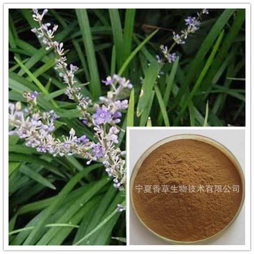 宁夏蛇尾草提取物30:1规格可定制 蛇尾草浸膏粉 蛇尾草速溶粉