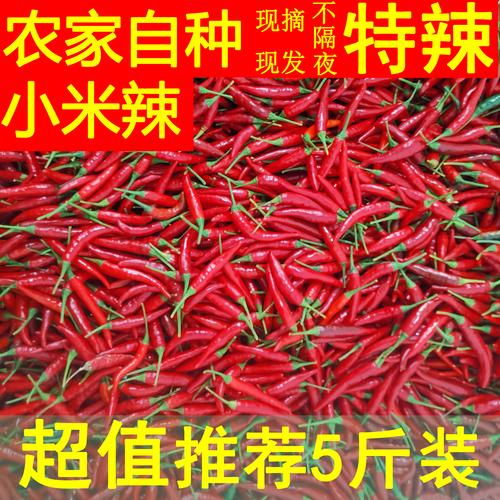 小米椒特辣超辣新鲜小米辣泡红辣椒朝天5斤河南辣椒