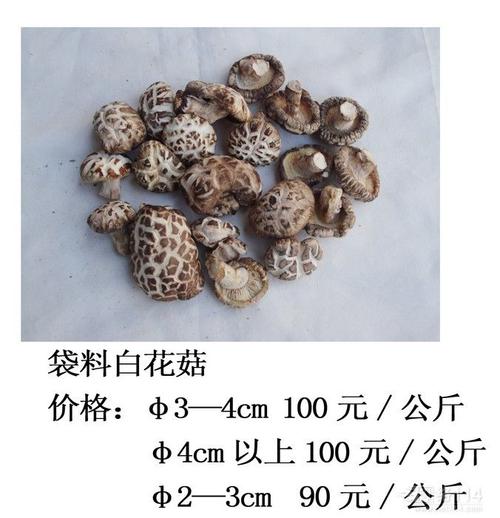 成都香菇批发◆杭州香菇菌种,大连香菇大棚