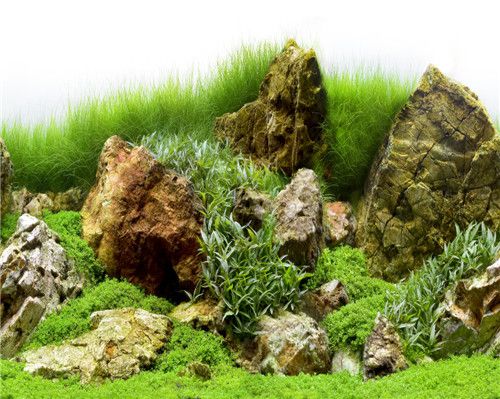 鱼缸双面背景纸背景画高档贴纸壁画壁纸高清水族箱水草58cm包邮