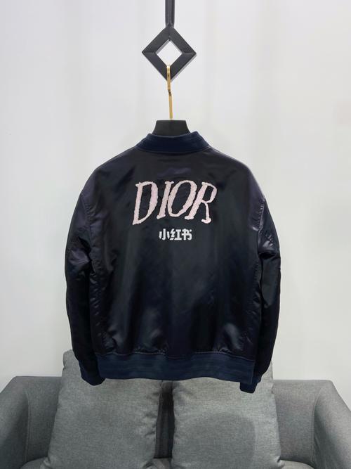 这件真的逃不过 太好看_迪奥怎么样_飞行员夹克_dior_时尚_穿搭