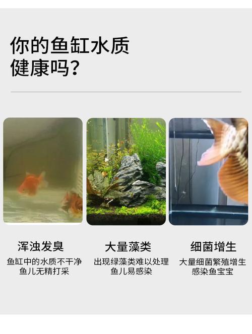 鱼缸杀菌灯uv紫外线鱼缸除藻灯鱼池净水潜水杀菌灯水族消毒灭菌灯 3w