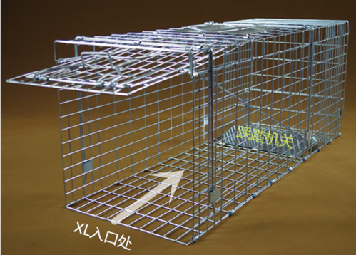 捕猫笼 诱捕野猫